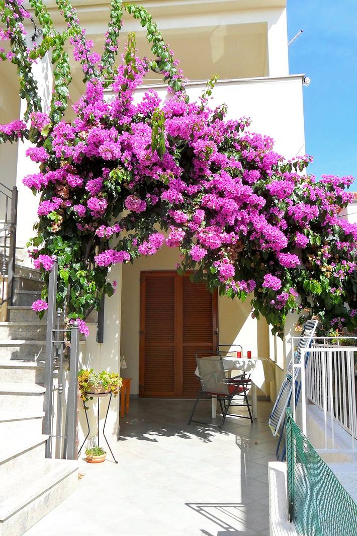 Ganze Wohnung, 1-Zimmer-Ferienwohnung mit Terrasse und Meerblick Zadar - Diklo, Zadar -a in Zadar Stadt, Zadar (Kommun)