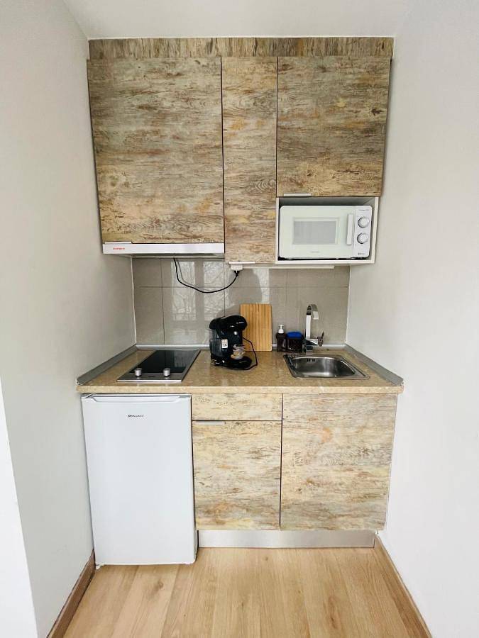 Location de vacances pour 6 personnes, avec vue et jardin à Canfranc - 4