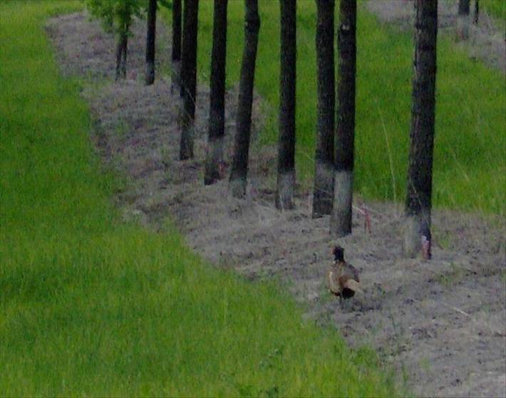Maison d’hôte pour 5 personnes, avec jardin dans Canada - 2
