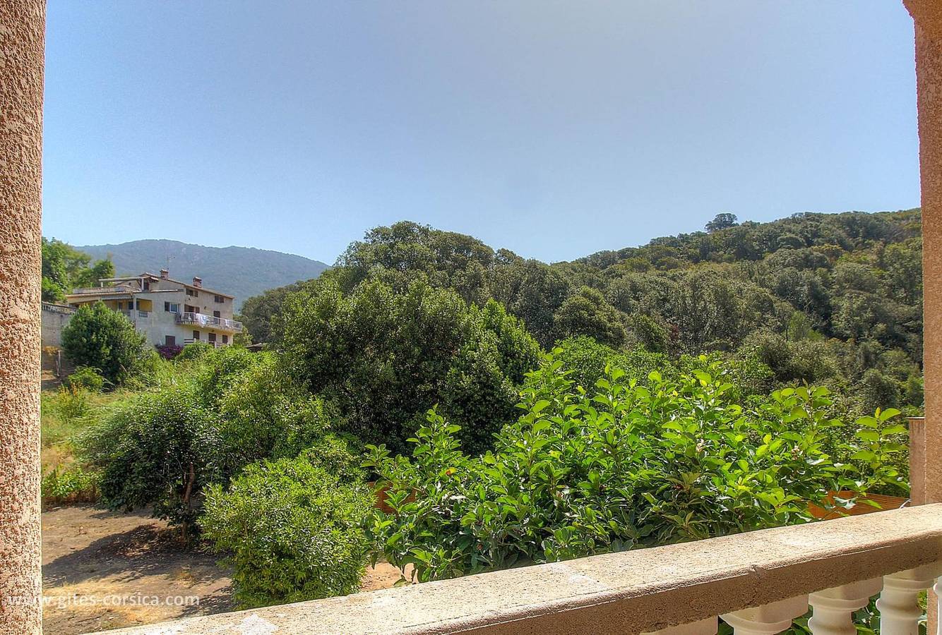 L'orangeraie 2 in Sagone, Coggia