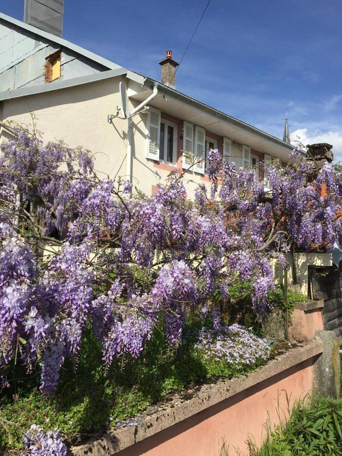 Gîte pour 4 personnes, avec Terrasse ainsi que Jardin et Vue à Wisembach