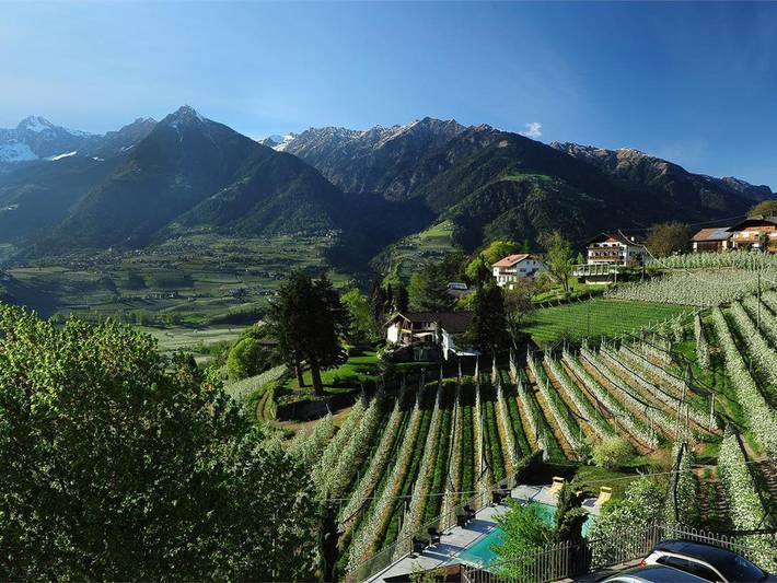 Ferienwohnung für 2 Personen, mit Balkon und Ausblick in Schenna - 2