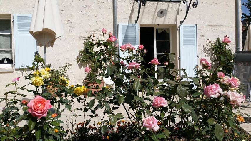 Chambre d’hôte pour 2 personnes, avec vue et jardin, animaux acceptés à Montlivault