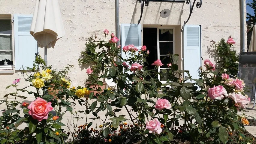 Chambre d’hôte pour 2 personnes, avec vue et jardin, animaux acceptés - 1