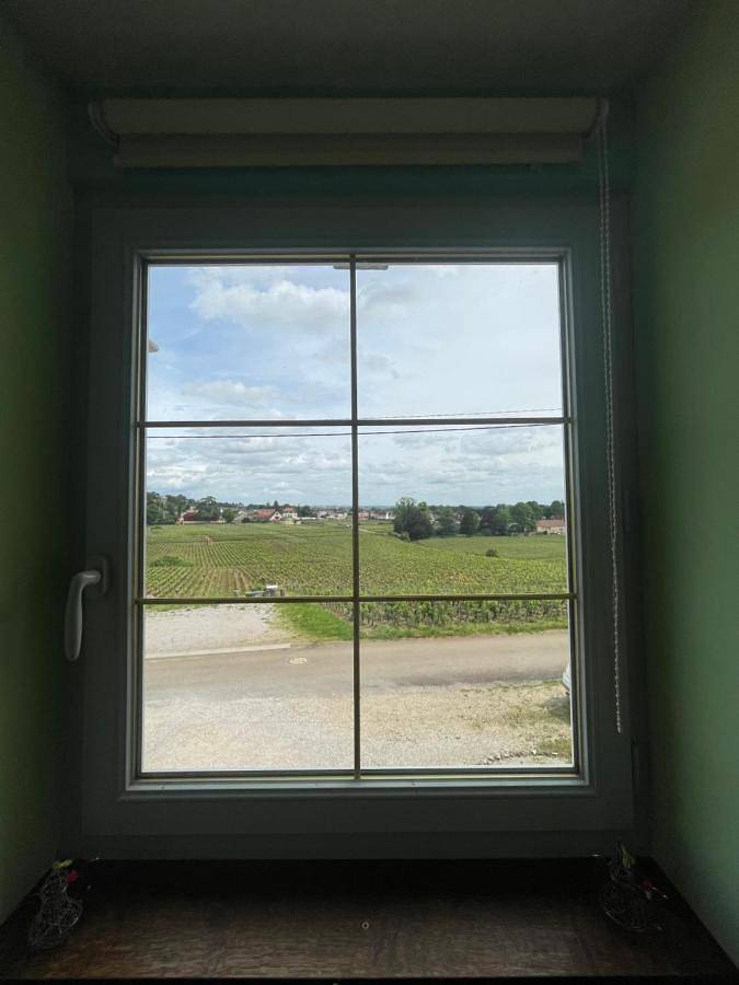 Double Room with Shared Bathroom in Gevrey-Chambertin, Région de Dijon