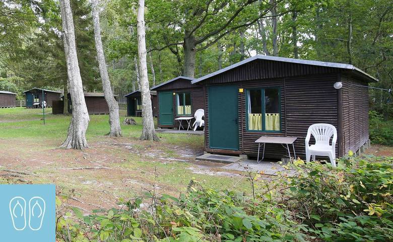 Hütte für 3 Personen, mit Terrasse auf Rügen - 4