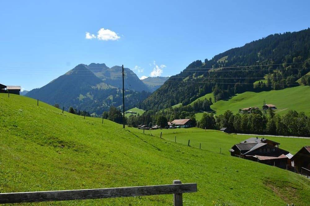 Ganze Wohnung, Arduus Appartement/Fewo, Dusche oder Bad, Wc 4-Bettwohnung in Gstaad, Saanen