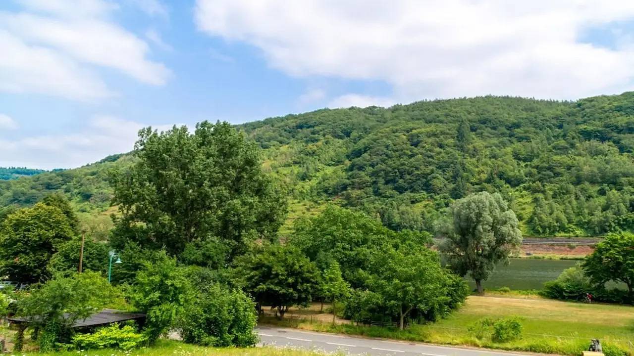 Ferienhaus für 2 Personen (59 m²) in Sankt Aldegund in Sankt Aldegund, Traben-Trarbach und Umbegung