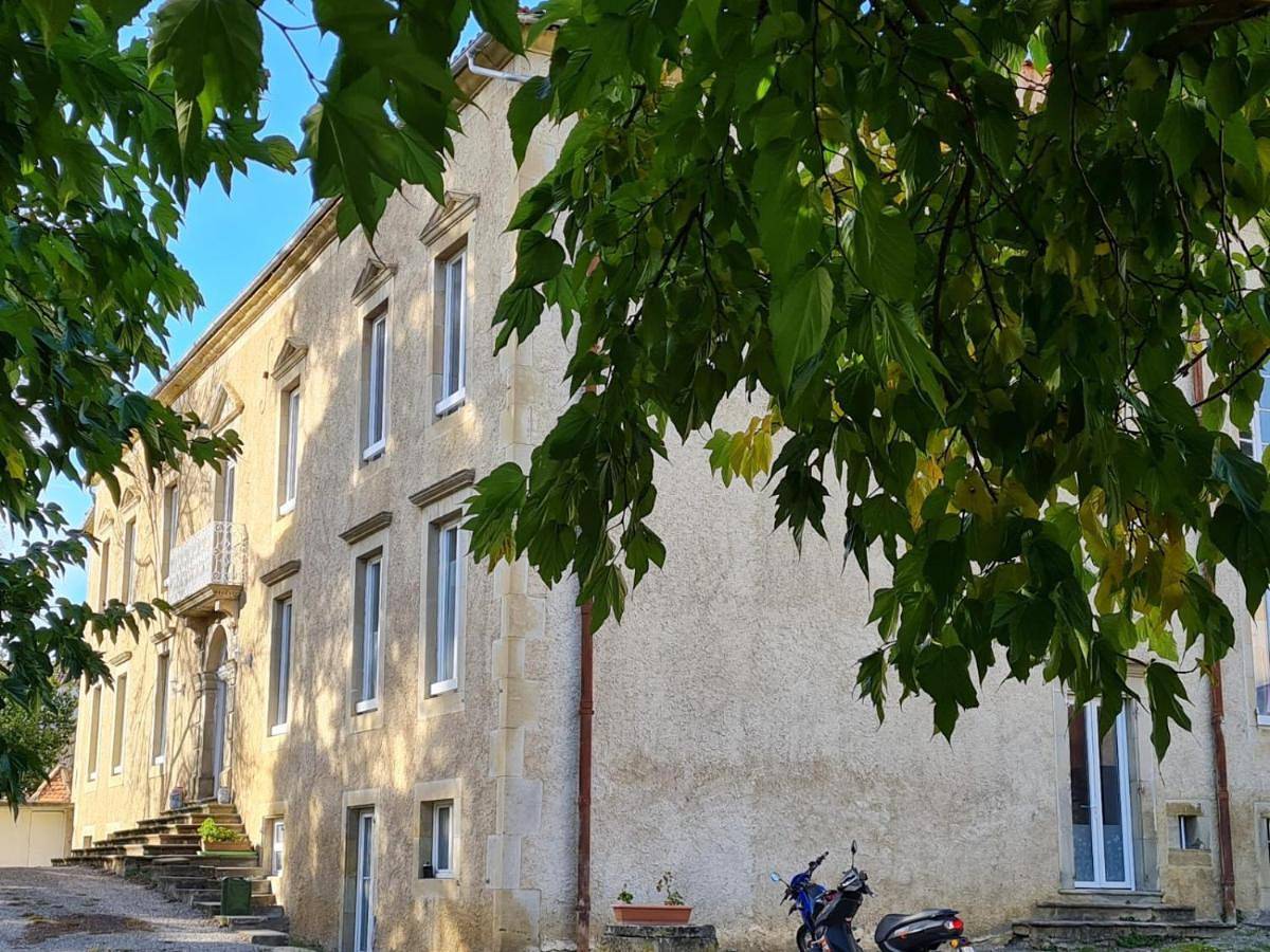 Les cèdres in Chalabre, Région de Limoux