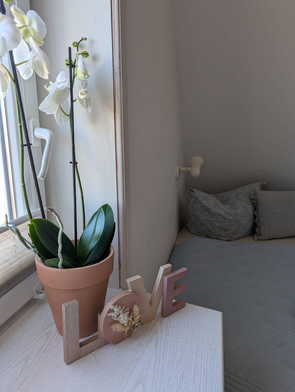 Ganze Ferienwohnung, Gästehaus N36 in Westerland, Sylt (Gemeinde)