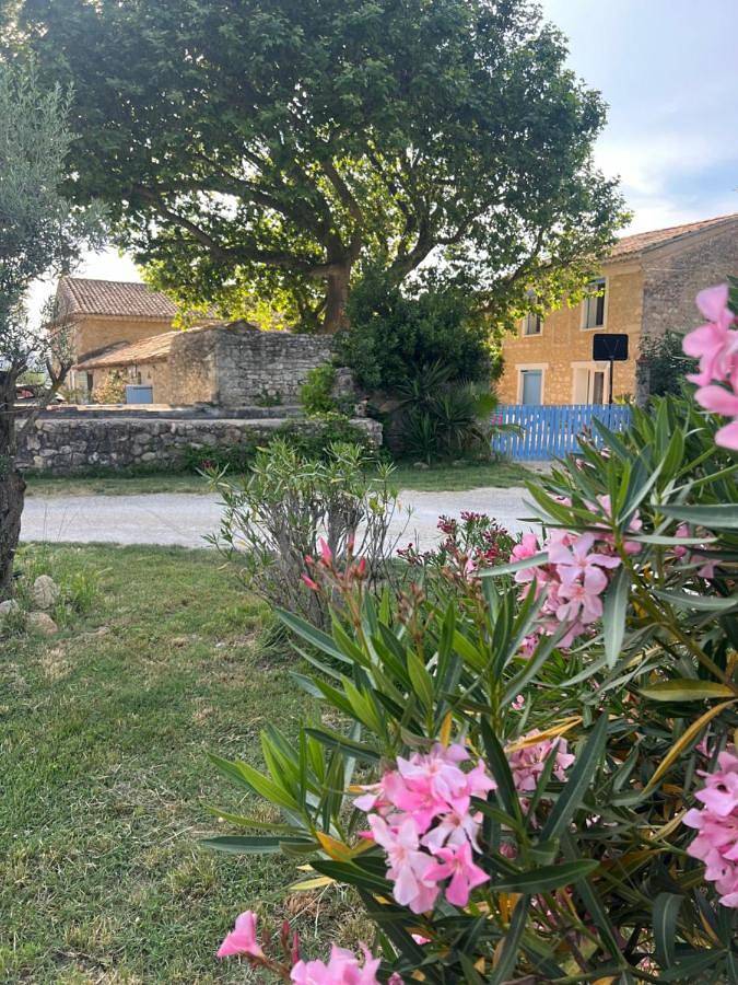 Location de vacances pour 12 personnes, avec jardin et piscine, animaux acceptés à Saint-Paul-Trois-Châteaux - 3