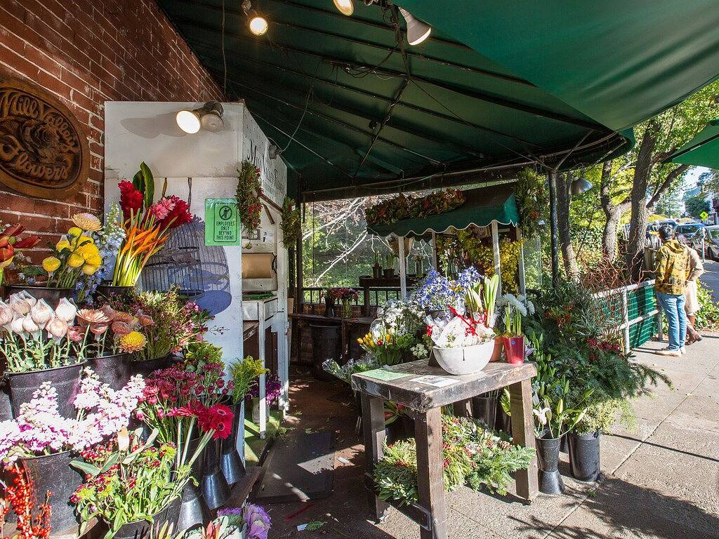 Ganze Wohnung, Uptown in der Innenstadt von Mill Valley! Das einzige 3bd / 2ba im Herzen der Stadt! in Mill Valley, California North Coast