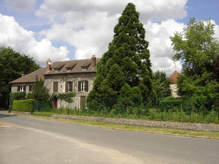 Gîte pour 12 personnes, avec jardin dans Seine-et-Marne - 4