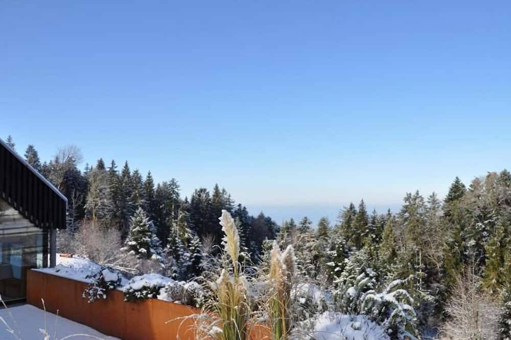 Ganze Wohnung, Reichart Apartment - Apartment in Lochau, Bodensee-Vorarlberg