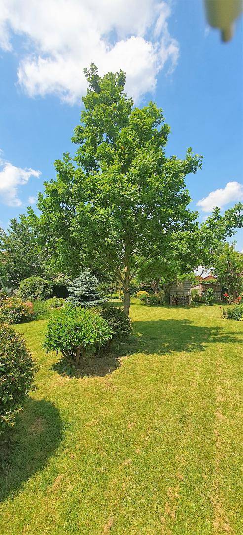 La Maisonnette du Bréon in Fontenay-Trésigny, Seine-et-Marne