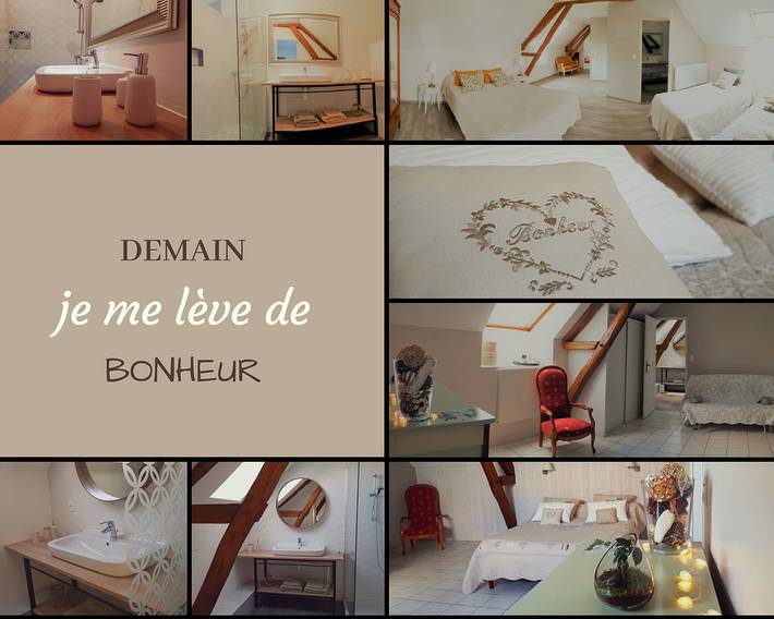 Chambre d’hôte pour 7 personnes, avec jardin dans le Loir-et-Cher - 2