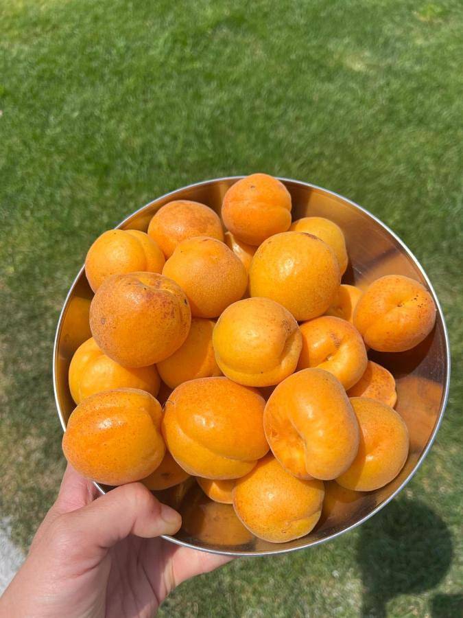 Location de vacances pour 8 personnes, avec terrasse et piscine à Châteauneuf-le-Rouge - 4