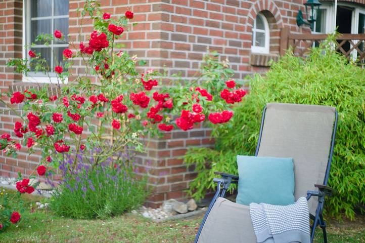 Vakantiehuis voor 6 personen, met uitzicht en tuin in Greetsiel