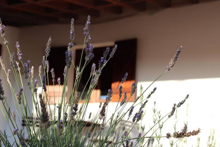 Casa rural para 6 personas, con vistas y jardín en Mértola - 2