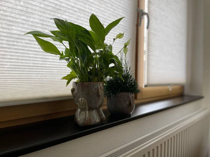 Ferienhaus für 6 Personen, mit Garten und Terrasse, kinderfreundlich im Vogtland - 2