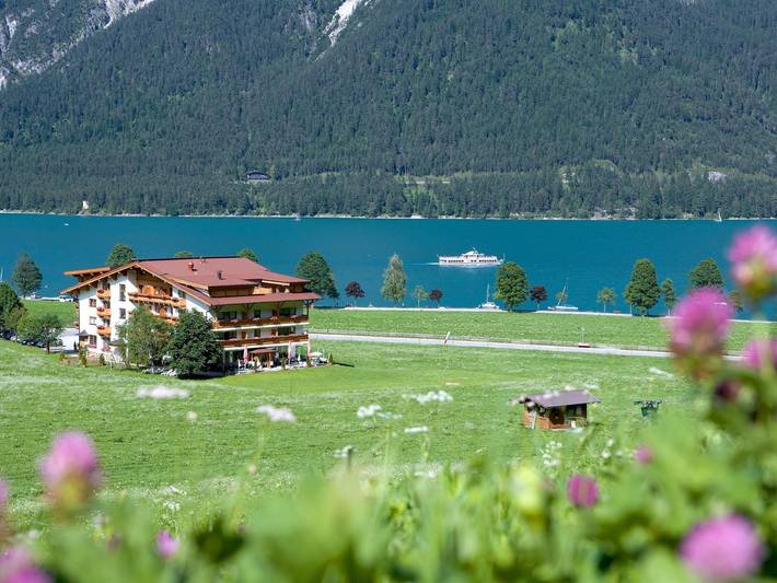 Hotel für 1 Personen, mit Haustier - 1