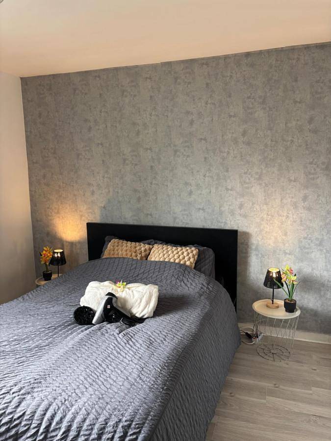 Gîte pour 2 personnes, avec jardin et vue, animaux acceptés à Saint-Jacques-de-la-Lande - 2