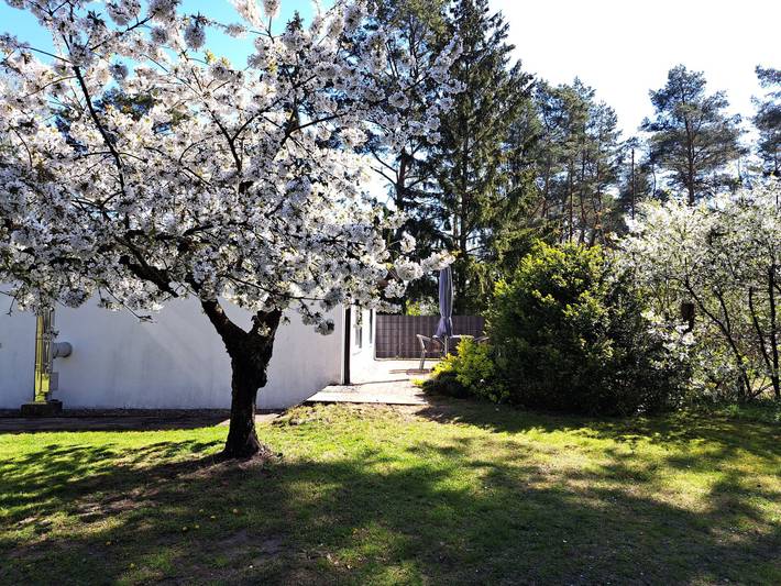 Ferienhaus für 2 Personen, mit Garten in Altwarp - 4