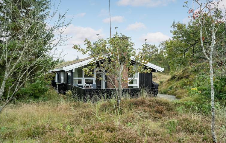 Ferienhaus für 5 Personen, mit Sauna und Terrasse, mit Haustier in Skagen - 3