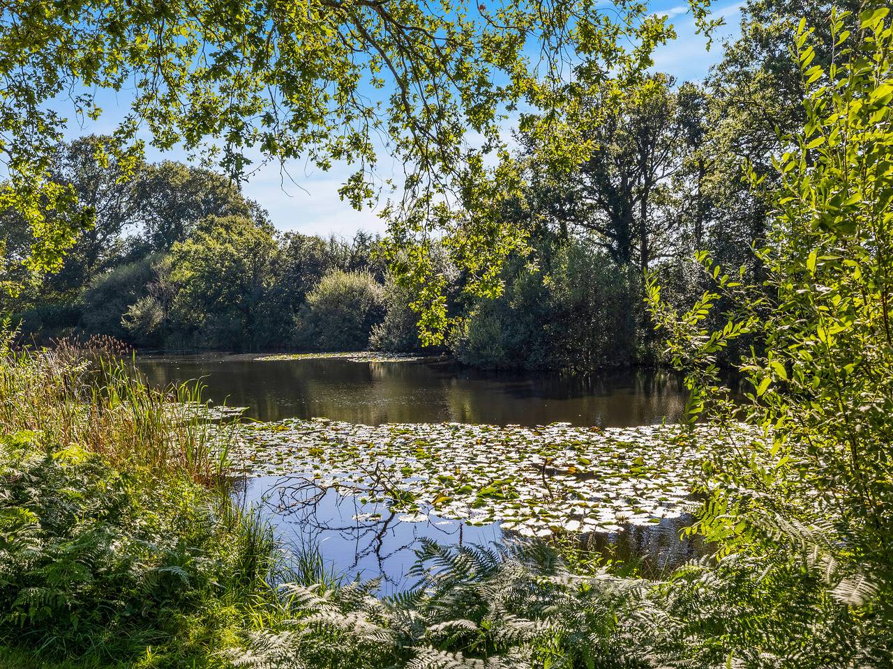 The Lodge at The Lake House in Plaistow, South Downs