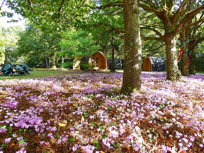 Gîte pour 2 personnes, avec jacuzzi ainsi que jardin et piscine à Chouzy-sur-Cisse - 2