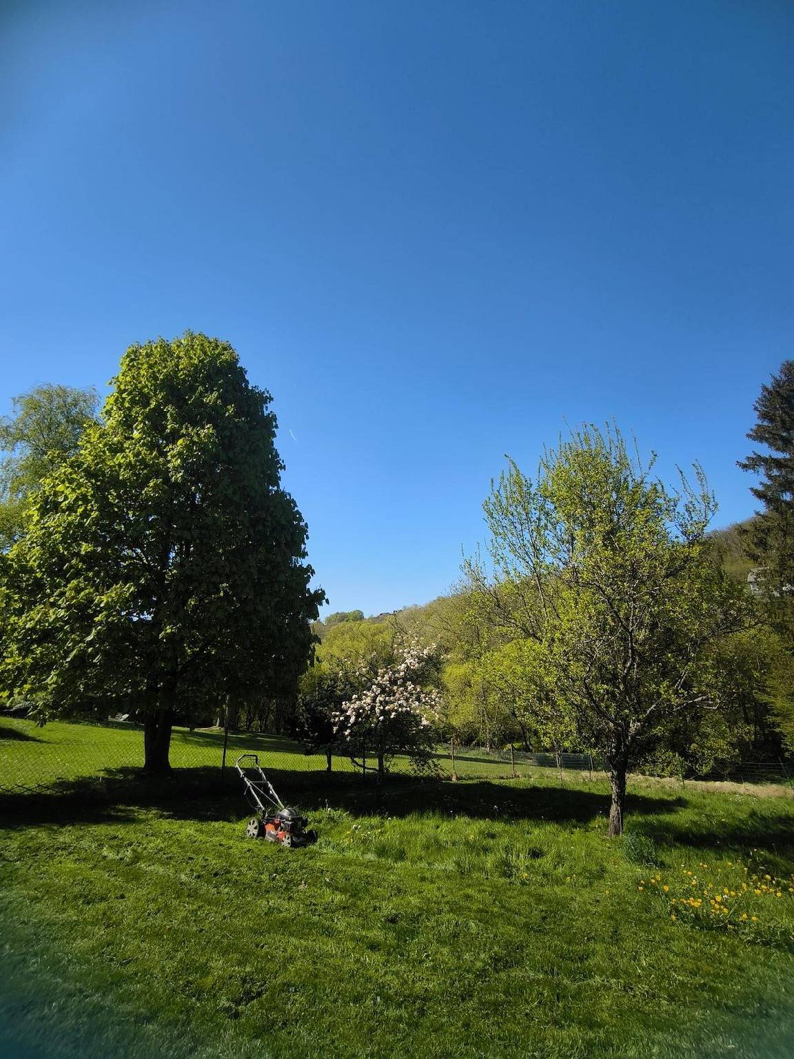 Ganze Ferienwohnung, Ferienwohnung "Ferienwohnung Sander" in Kirchen (Sieg), Altenkirchen & Umgebung