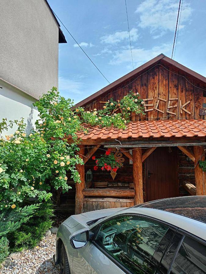 Dom dla 4 osób, z sauna i ogród, zwierzęta dozwolone w Krościenko nad Dunajcem