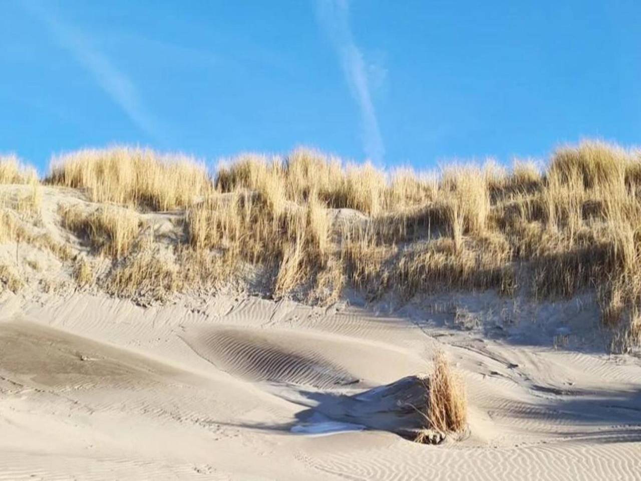 Rifugio moderno vicino alla spiaggia in 's-Gravenzande, Stadsgewest Haaglanden
