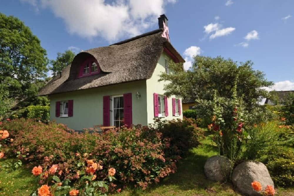 Buzo de garganta roja Retiro moderno in Putgarten, Rügen