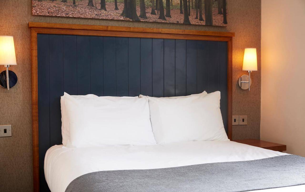 Family Room (2 Adults + 2 Children) in Lyndhurst, Hampshire