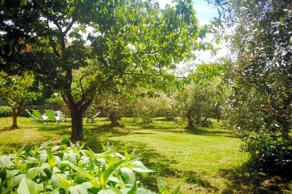Ganze Wohnung, Haus mit Garten 25 Minuten vom Meer in Monteverdi Marittimo, Etruskische Küste