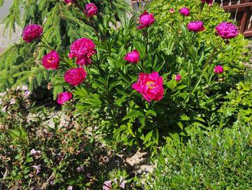 Ferienhaus für 6 Personen in Bruchweiler-Bärenbach, Landkreis Südwestpfalz, Bild 2