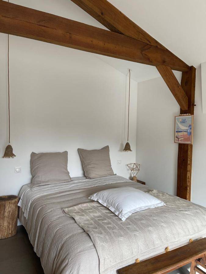 Chambre d’hôte pour 2 personnes, avec jardin et terrasse dans Parc naturel régional des Landes de Gascogne - 4