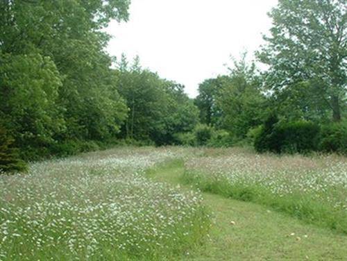 Hazelwood Guest House in Bridgend, Bridgend en omgeving