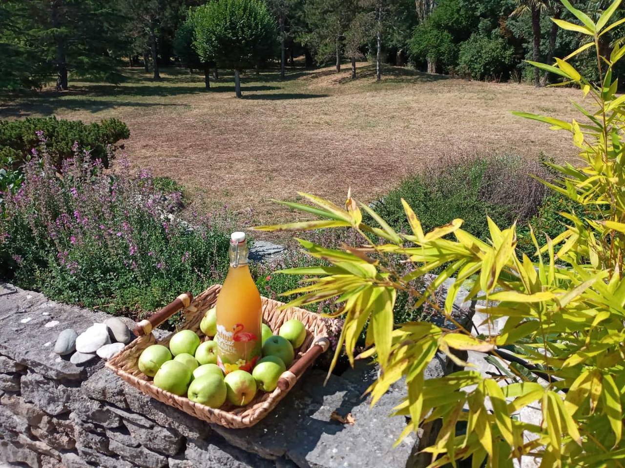 La P'tite Forêt in Pennautier, Carcassonne region