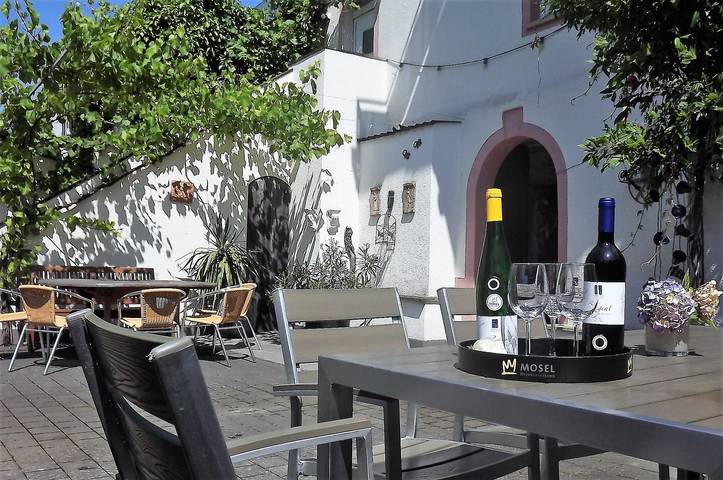 Ferienwohnung für 4 Personen in Neumagen-Dhron - 2