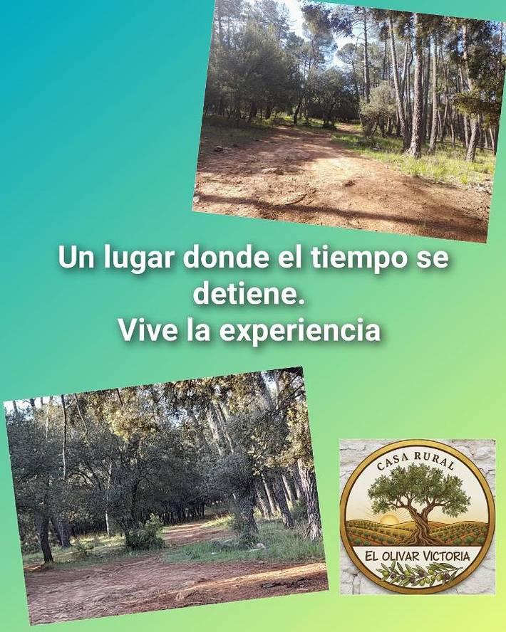 Casa rural para 4 personas, con Terraza y Vistas en Comarca de Baza - 3