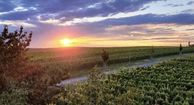Ferienhaus für 2 Personen, mit Terrasse in Volkach - 4
