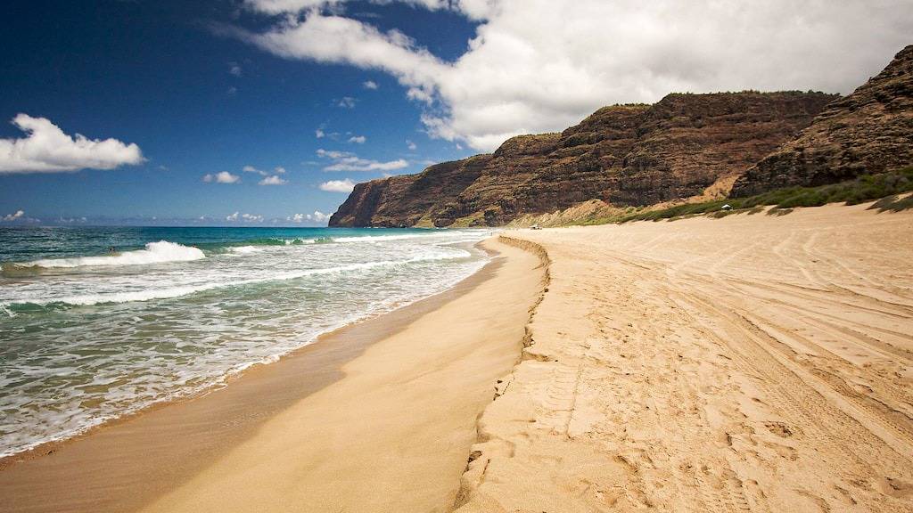 Ganze Wohnung, Nalo Studio B: In der Nähe des Poipu Beach Park mit Klimaanlage - Premier Interior in Poipu, Koloa