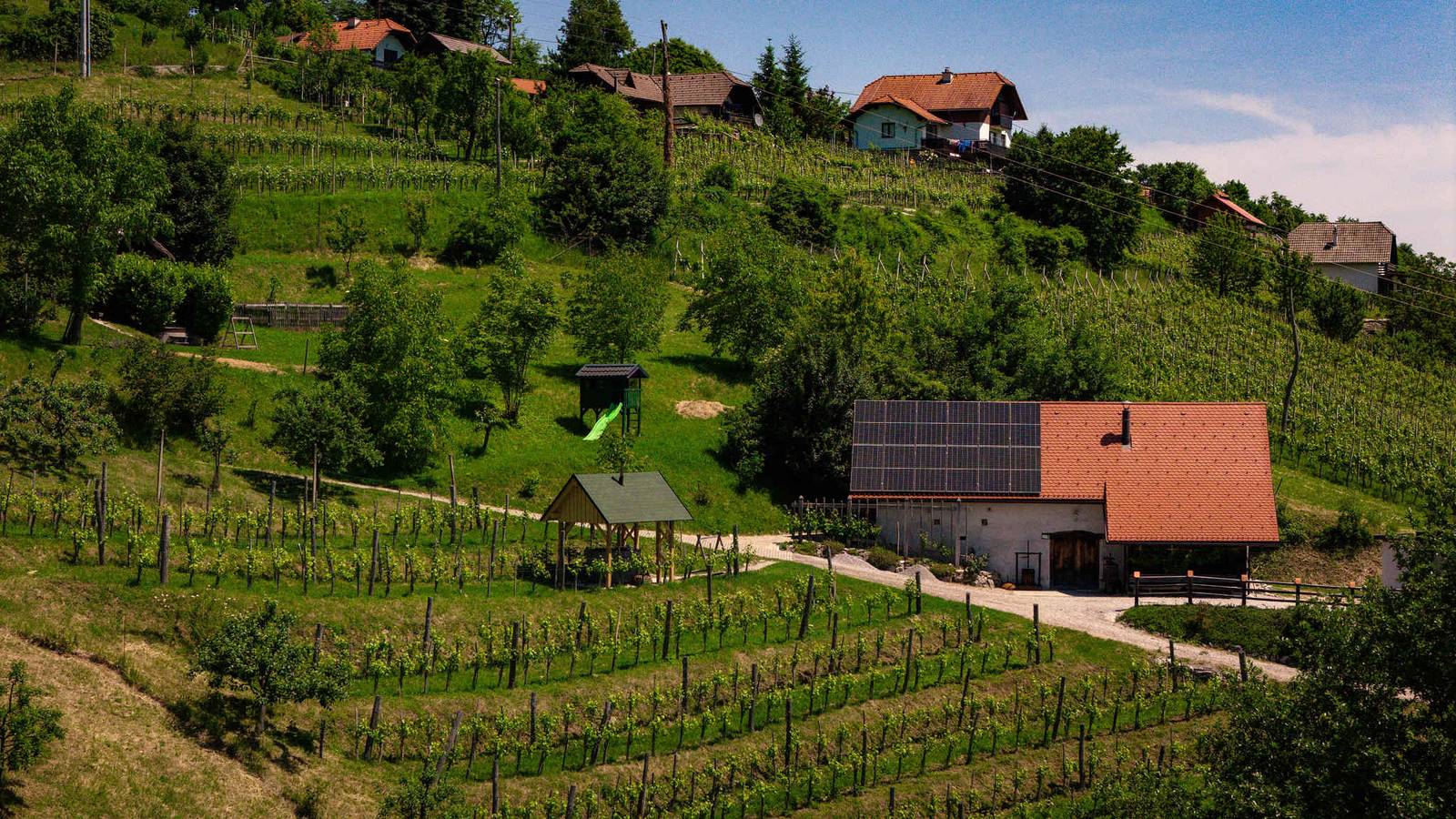 Ferienhaus mit Sauna und Weinkeller in Neustadtl, Slowenien