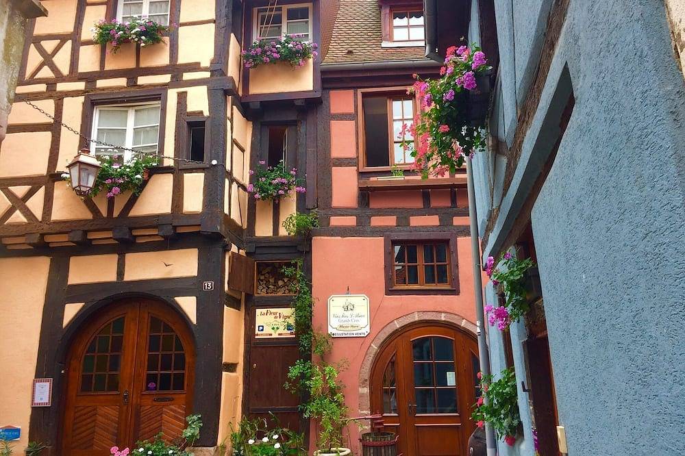 Ganze Wohnung, Wohnung in Riquewihr bei Weinbergen in Riquewihr, Regionaler Naturpark Belchen der Vogesen