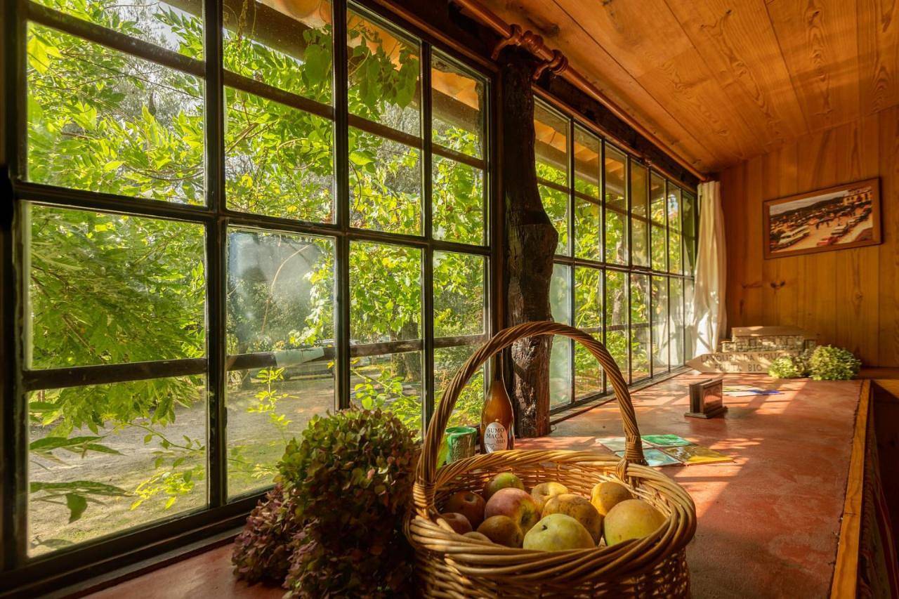 One-Bedroom Chalet in Canedo de Basto e Corgo, Distrito de Braga
