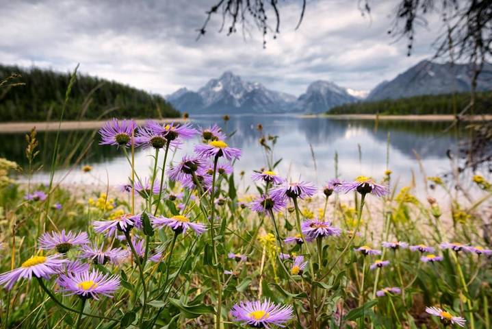 Gîte pour 4 personnes, avec vue dans Passo Del Tonale - 2