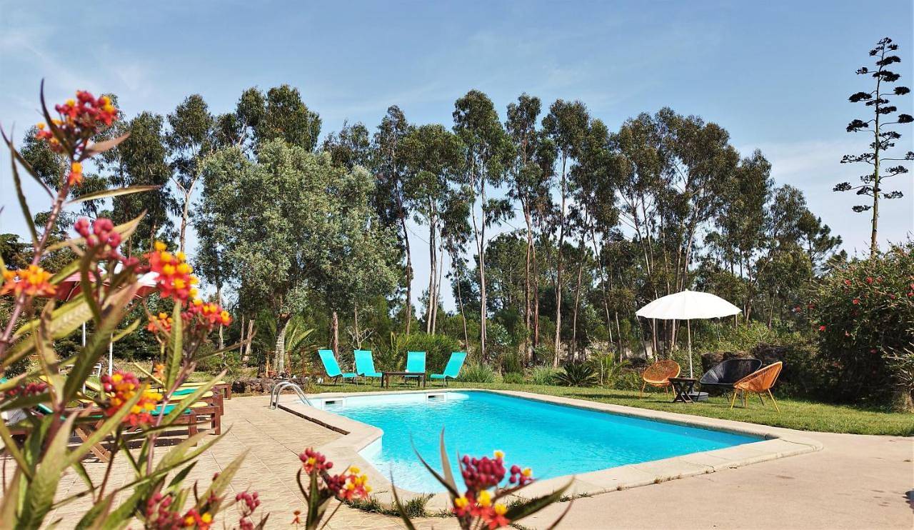 Apartment with Pool View in São Teotónio, Costa Alentejana