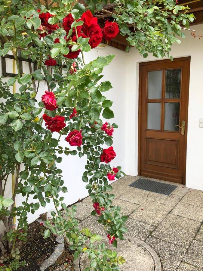 Ganze Wohnung, Apartment with Terrace in Murnau am Staffelsee, Das Blaue Land